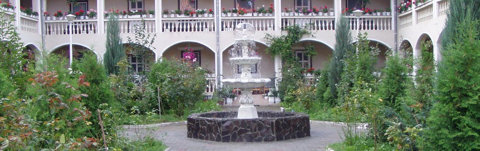 fantana arteziana sighisoara